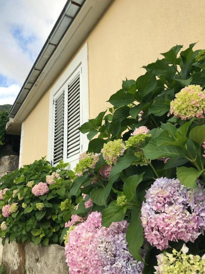 Etno Village Mihailovic Herceg Novi Luaran gambar