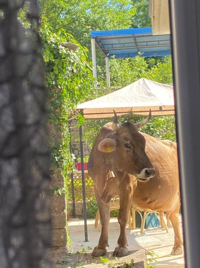 Etno Village Mihailovic Herceg Novi Luaran gambar