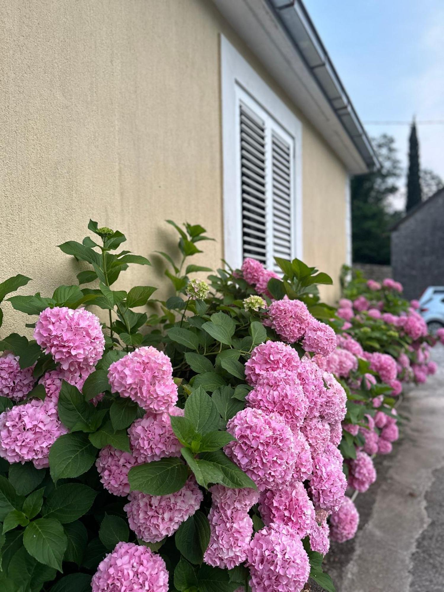 Etno Village Mihailovic Herceg Novi Luaran gambar