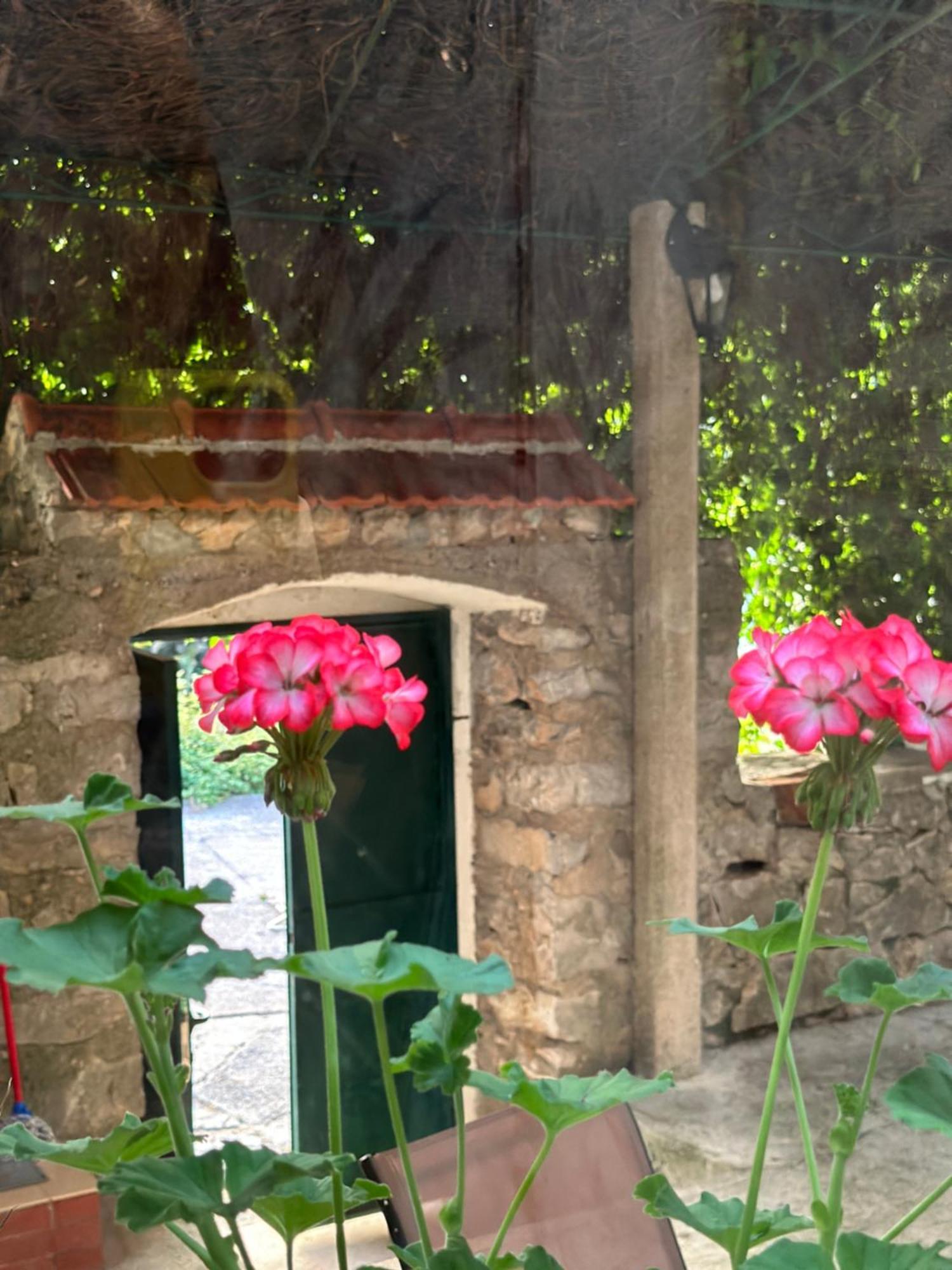 Etno Village Mihailovic Herceg Novi Luaran gambar